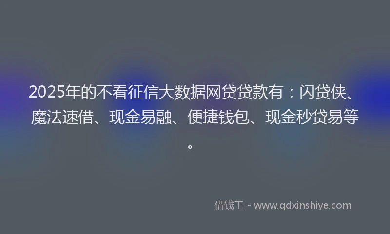 2025年的不看征信大数据网贷贷款有：闪贷侠、魔法速借、现金易融、便捷钱包、现金秒贷易等。