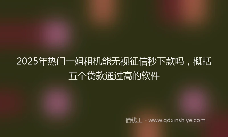 2025年热门一姐租机能无视征信秒下款吗，概括五个贷款通过高的软件