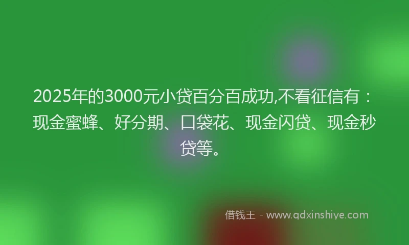 2025年的3000元小贷百分百成功,不看征信有：现金蜜蜂、好分期、口袋花、现金闪贷、现金秒贷等。