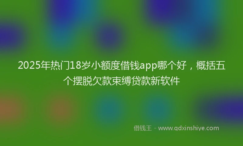 2025年热门18岁小额度借钱app哪个好，概括五个摆脱欠款束缚贷款新软件