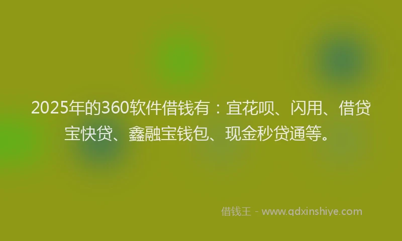 2025年的360软件借钱有：宜花呗、闪用、借贷宝快贷、鑫融宝钱包、现金秒贷通等。