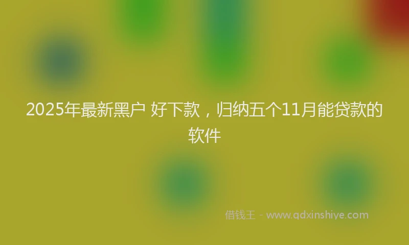 2025年最新黑户 好下款，归纳五个11月能贷款的软件