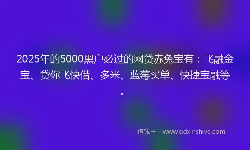 2025年的5000黑户必过的网贷赤兔宝有：飞融金宝、贷你飞快借、多米、蓝莓买单、快捷宝融等。