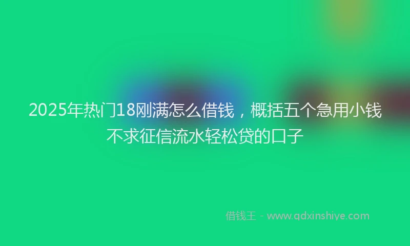 2025年热门18刚满怎么借钱，概括五个急用小钱不求征信流水轻松贷的口子