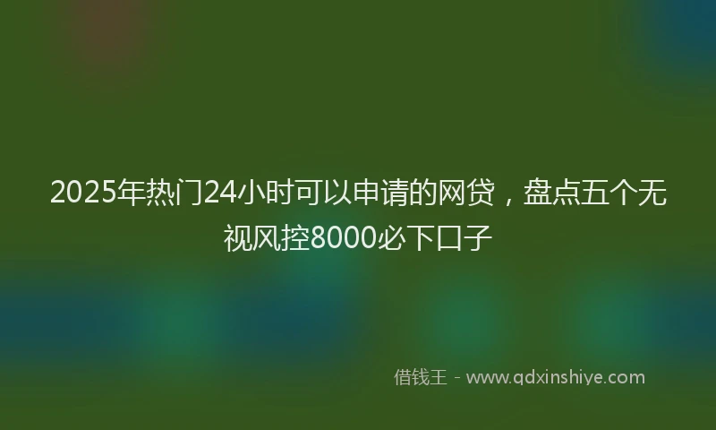 2025年热门24小时可以申请的网贷，盘点五个无视风控8000必下口子
