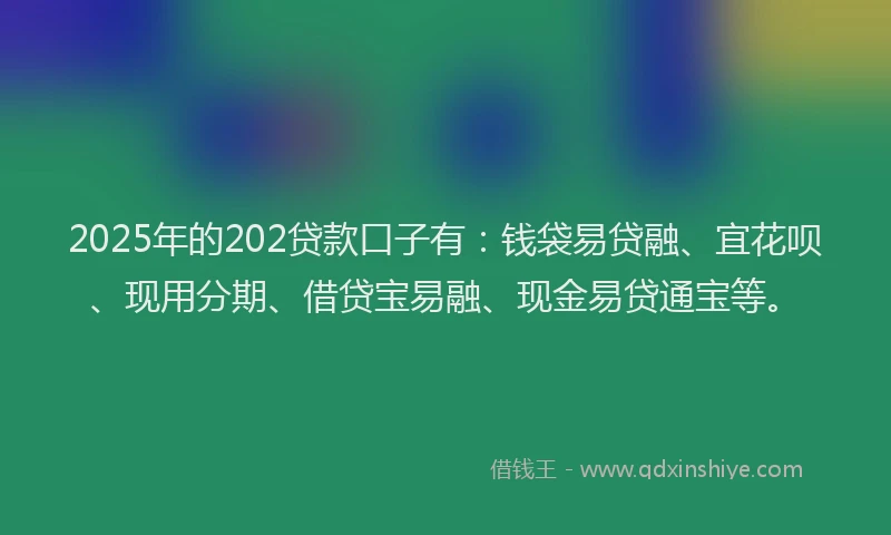 2025年的202贷款口子有：钱袋易贷融、宜花呗、现用分期、借贷宝易融、现金易贷通宝等。