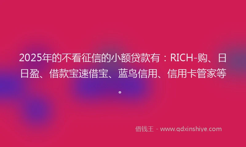 2025年的不看征信的小额贷款有：RICH-购、日日盈、借款宝速借宝、蓝鸟信用、信用卡管家等。
