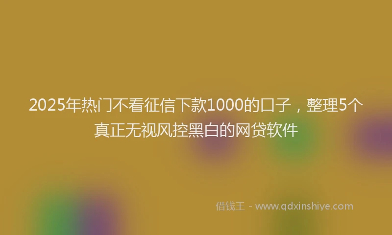 2025年热门不看征信下款1000的口子，整理5个真正无视风控黑白的网贷软件