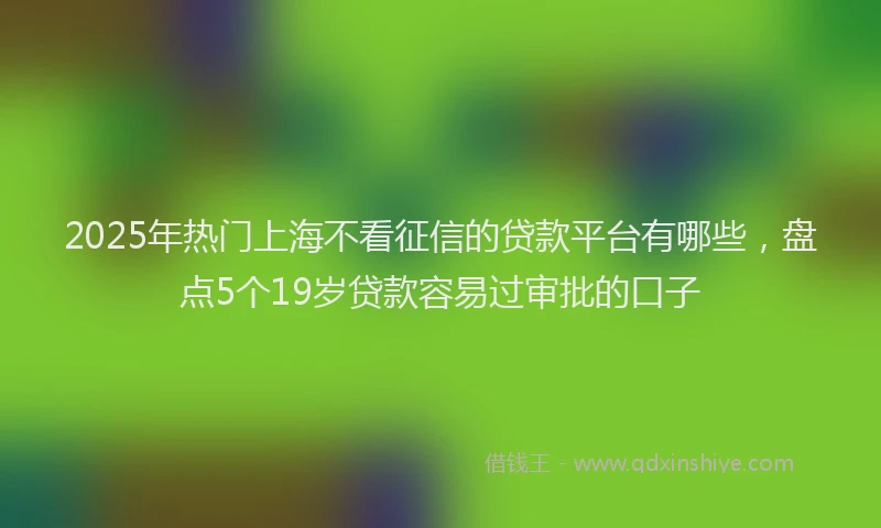 2025年热门上海不看征信的贷款平台有哪些,盘点5个19岁贷款容易过审批的口子