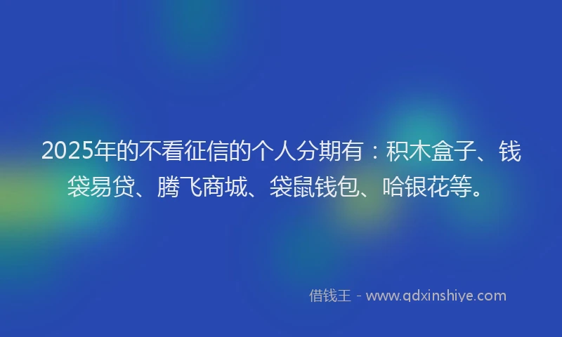 2025年的不看征信的个人分期有：积木盒子、钱袋易贷、腾飞商城、袋鼠钱包、哈银花等。