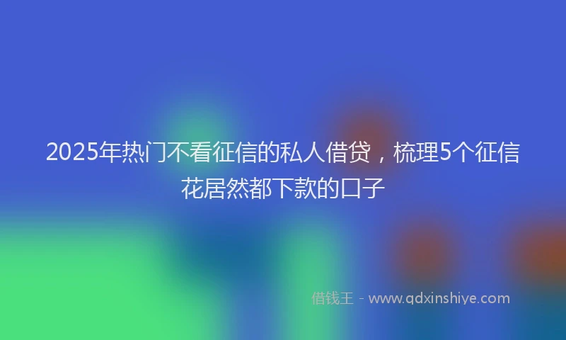 2025年热门不看征信的私人借贷，梳理5个征信花居然都下款的口子