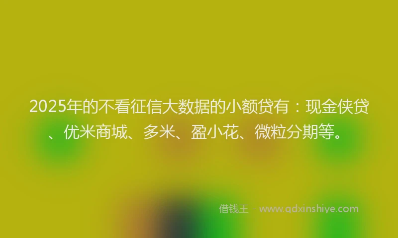 2025年的不看征信大数据的小额贷有：现金侠贷、优米商城、多米、盈小花、微粒分期等。