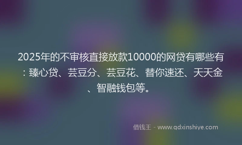 2025年的不审核直接放款10000的网贷有哪些有：臻心贷、芸豆分、芸豆花、替你速还、天天金、智融钱包等。