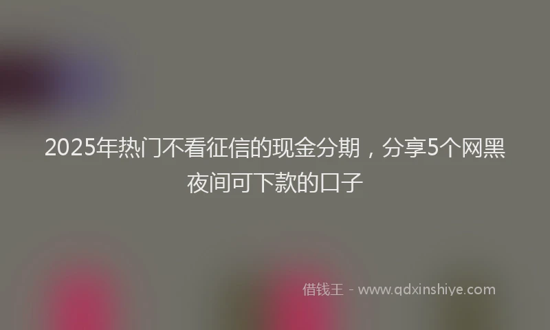 2025年热门不看征信的现金分期,分享5个网黑夜间可下款的口子