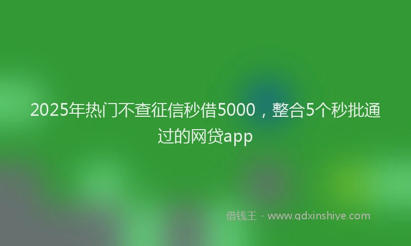 2025年热门不查征信秒借5000，整合5个秒批通过的网贷app
