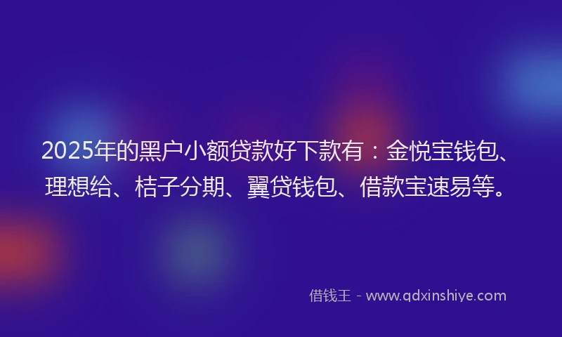 2025年的黑户小额贷款好下款有：金悦宝钱包、理想给、桔子分期、翼贷钱包、借款宝速易等。