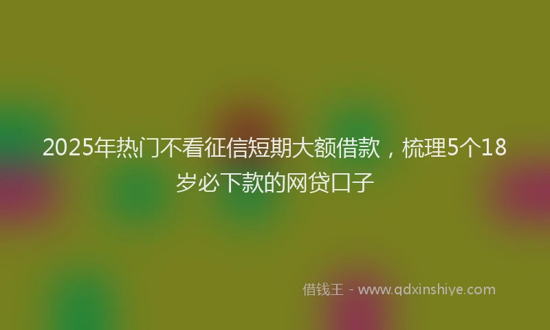 2025年热门不看征信短期大额借款，梳理5个18岁必下款的网贷口子