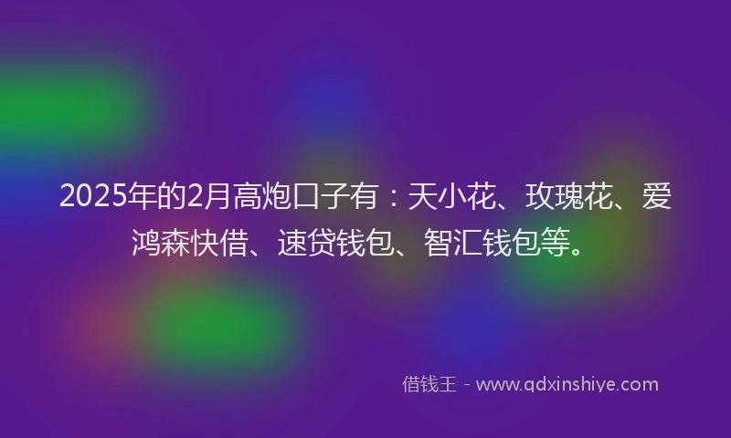 2025年的2月高炮口子有：天小花、玫瑰花、爱鸿森快借、速贷钱包、智汇钱包等。