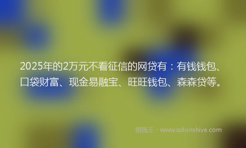 2025年的2万元不看征信的网贷有：有钱钱包、口袋财富、现金易融宝、旺旺钱包、森森贷等。