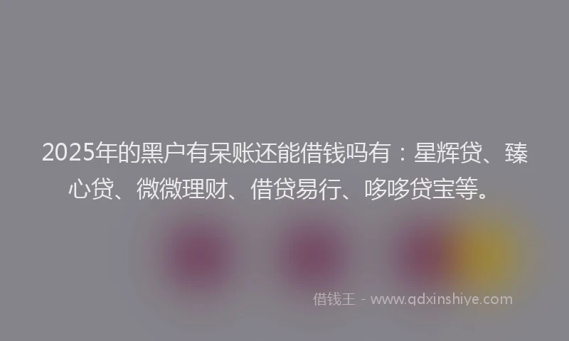2025年的黑户有呆账还能借钱吗有：星辉贷、臻心贷、微微理财、借贷易行、哆哆贷宝等。