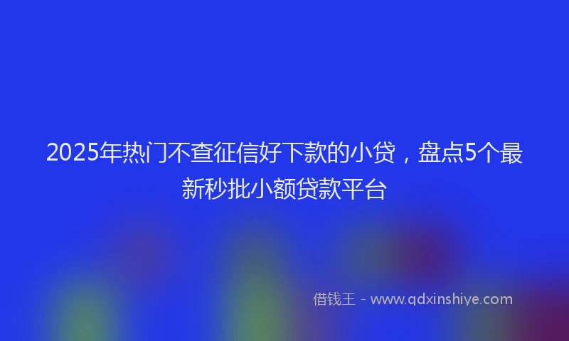 2025年热门不查征信好下款的小贷，盘点5个最新秒批小额贷款平台