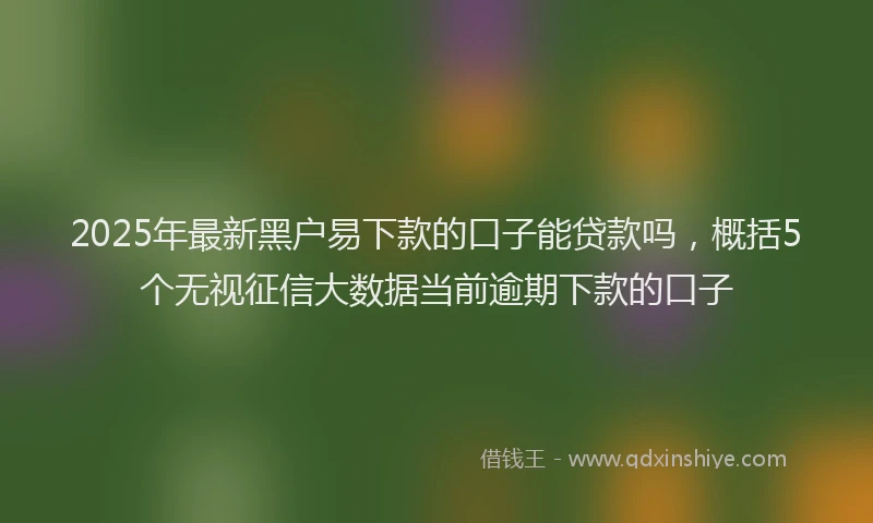 2025年最新黑户易下款的口子能贷款吗，概括5个无视征信大数据当前逾期下款的口子