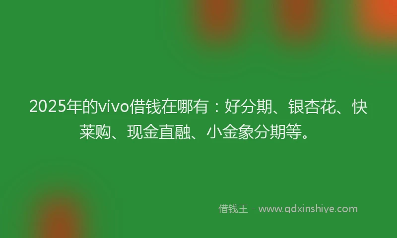 2025年的vivo借钱在哪有：好分期、银杏花、快莱购、现金直融、小金象分期等。
