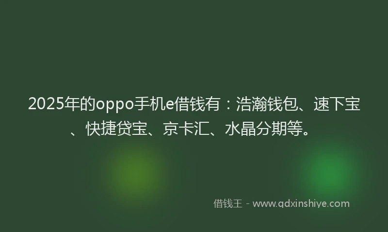 2025年的oppo手机e借钱有:浩瀚钱包、速下宝、快捷贷宝、京卡汇、水晶分期等。