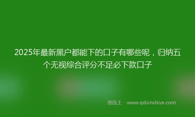 2025年最新黑户都能下的口子有哪些呢，归纳五个无视综合评分不足必下款口子