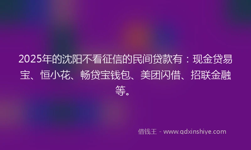 2025年的沈阳不看征信的民间贷款有：现金贷易宝、恒小花、畅贷宝钱包、美团闪借、招联金融等。