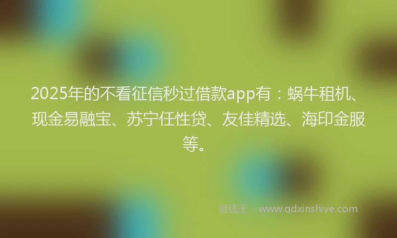 2025年的不看征信秒过借款app有：蜗牛租机、现金易融宝、苏宁任性贷、友佳精选、海印金服等。