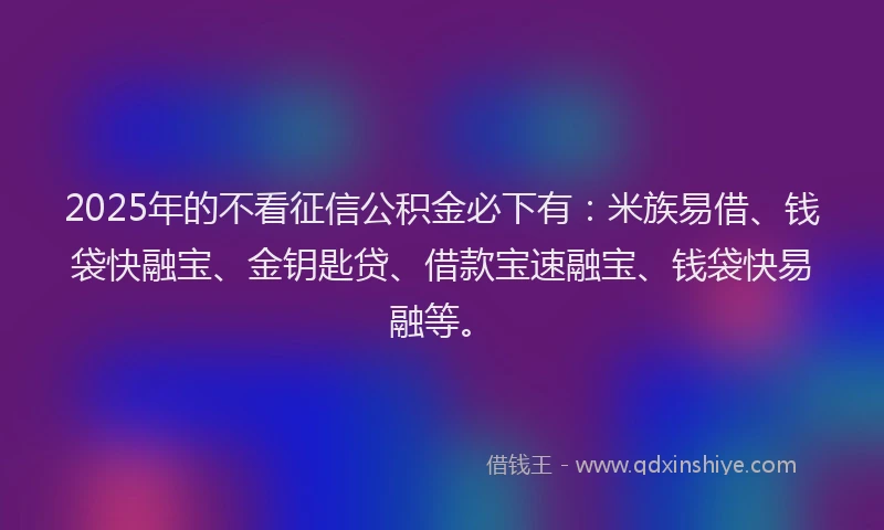 2025年的不看征信公积金必下有：米族易借、钱袋快融宝、金钥匙贷、借款宝速融宝、钱袋快易融等。