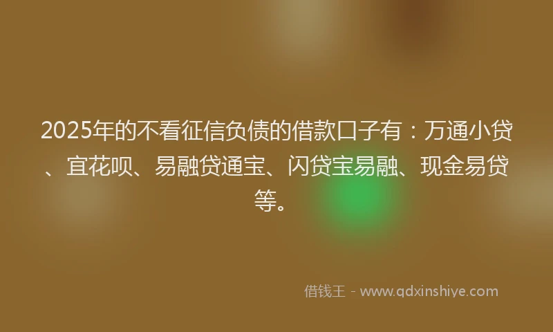 2025年的不看征信负债的借款口子有：万通小贷、宜花呗、易融贷通宝、闪贷宝易融、现金易贷等。