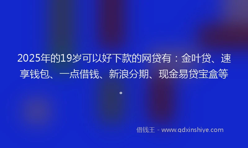 2025年的19岁可以好下款的网贷有：金叶贷、速享钱包、一点借钱、新浪分期、现金易贷宝盒等。