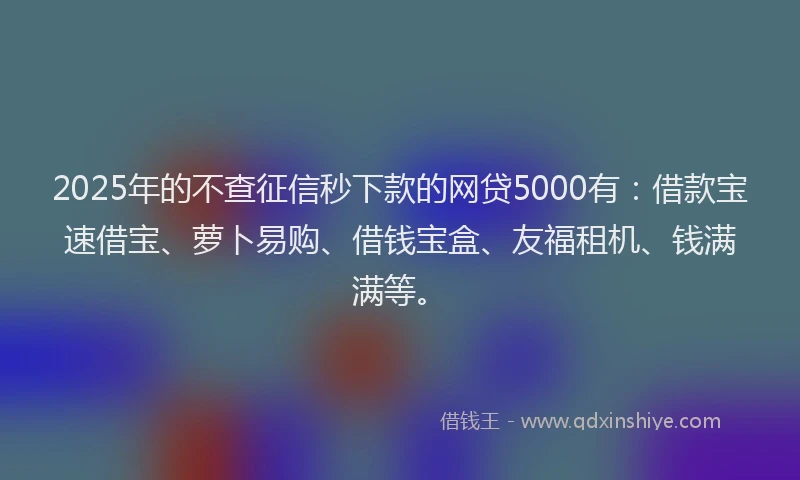 2025年的不查征信秒下款的网贷5000有：借款宝速借宝、萝卜易购、借钱宝盒、友福租机、钱满满等。