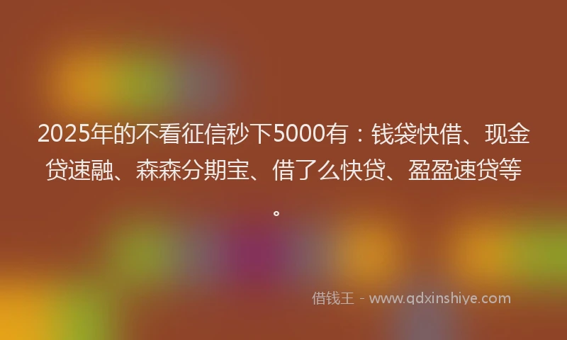 2025年的不看征信秒下5000有：钱袋快借、现金贷速融、森森分期宝、借了么快贷、盈盈速贷等。