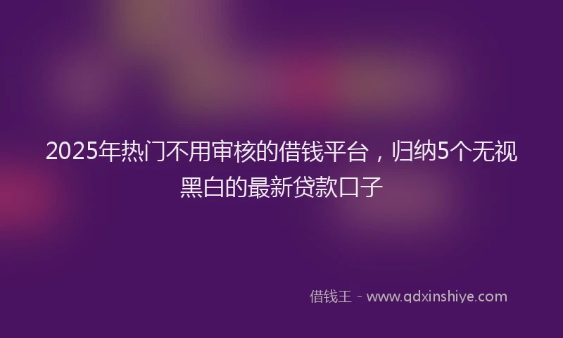 2025年热门不用审核的借钱平台,归纳5个无视黑白的最新贷款口子