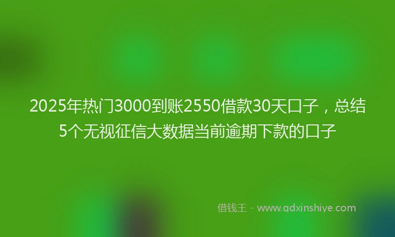 2025年热门3000到账2550借款30天口子，总结5个无视征信大数据当前逾期下款的口子