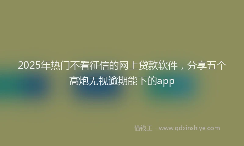 2025年热门不看征信的网上贷款软件，分享五个高炮无视逾期能下的app
