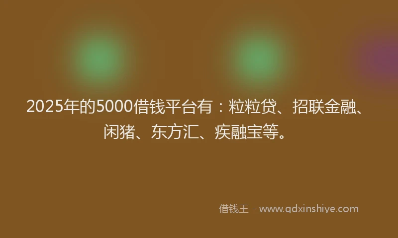 2025年的5000借钱平台有：粒粒贷、招联金融、闲猪、东方汇、疾融宝等。