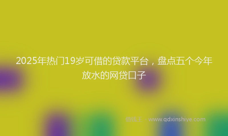 2025年热门19岁可借的贷款平台，盘点五个今年放水的网贷口子