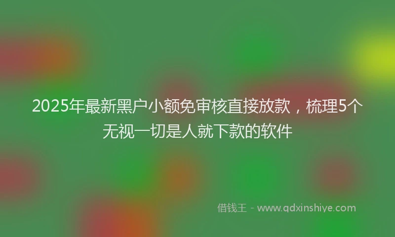 2025年最新黑户小额免审核直接放款，梳理5个无视一切是人就下款的软件