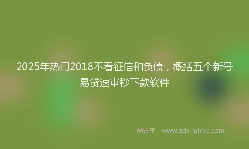 2025年热门2018不看征信和负债，概括五个新号易贷速审秒下款软件
