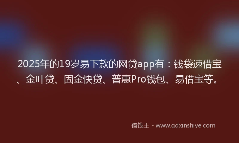 2025年的19岁易下款的网贷app有：钱袋速借宝、金叶贷、固金快贷、普惠Pro钱包、易借宝等。