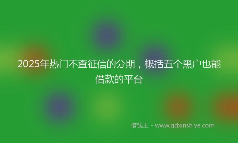 2025年热门不查征信的分期，概括五个黑户也能借款的平台