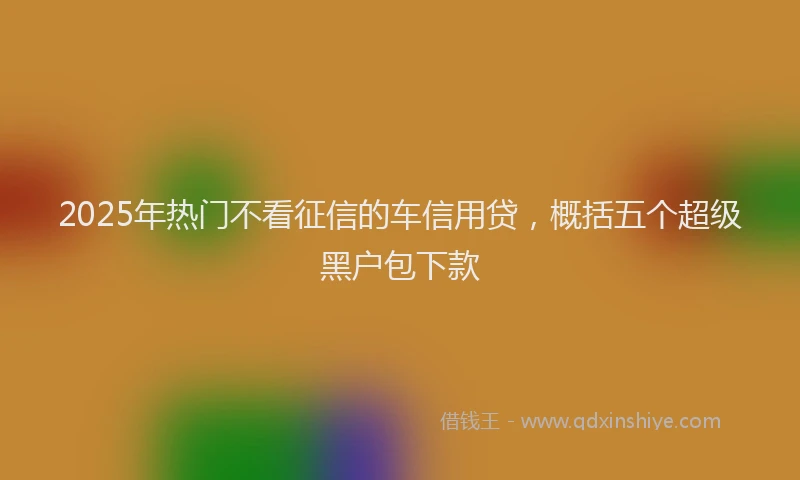 2025年热门不看征信的车信用贷，概括五个超级黑户包下款