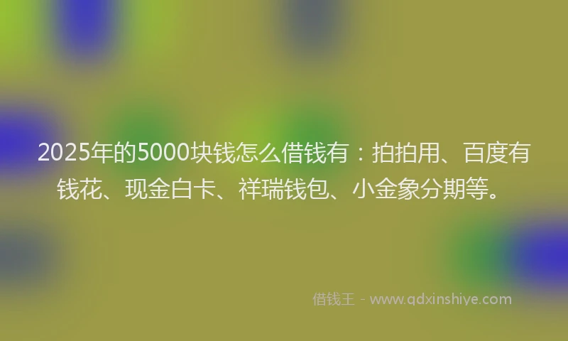 2025年的5000块钱怎么借钱有：拍拍用、百度有钱花、现金白卡、祥瑞钱包、小金象分期等。