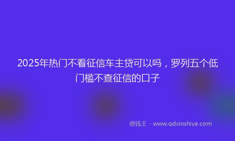 2025年热门不看征信车主贷可以吗，罗列五个低门槛不查征信的口子