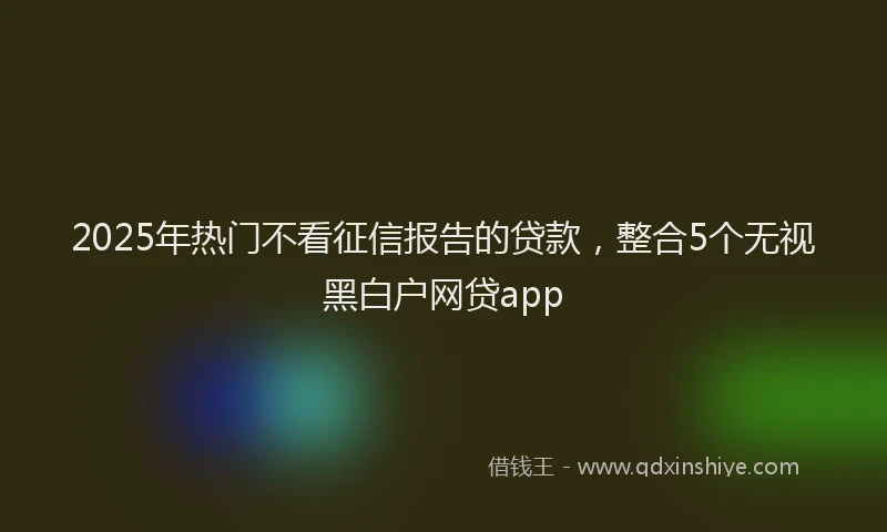 2025年热门不看征信报告的贷款，整合5个无视黑白户网贷app
