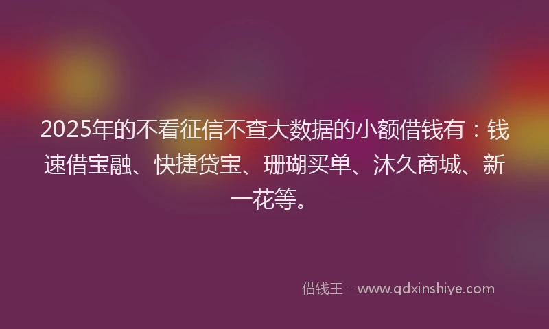 2025年的不看征信不查大数据的小额借钱有：钱速借宝融、快捷贷宝、珊瑚买单、沐久商城、新一花等。